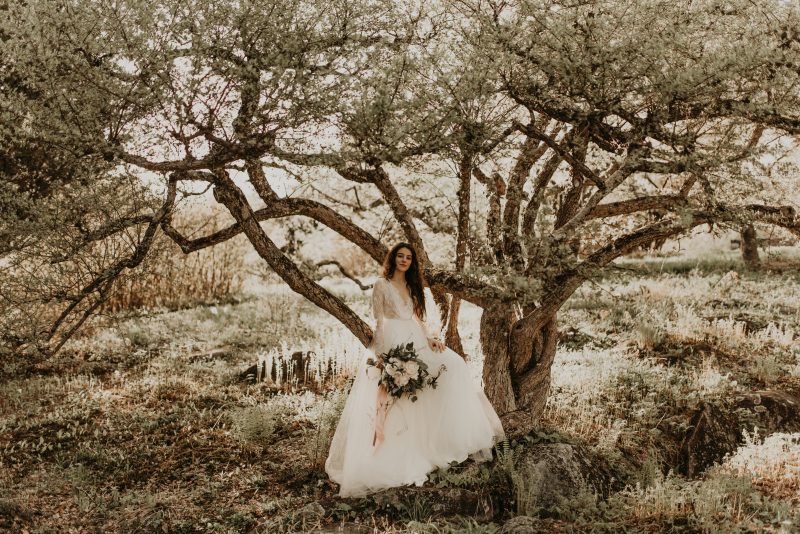 Lace ivory wedding dress by Anna Skoblikova